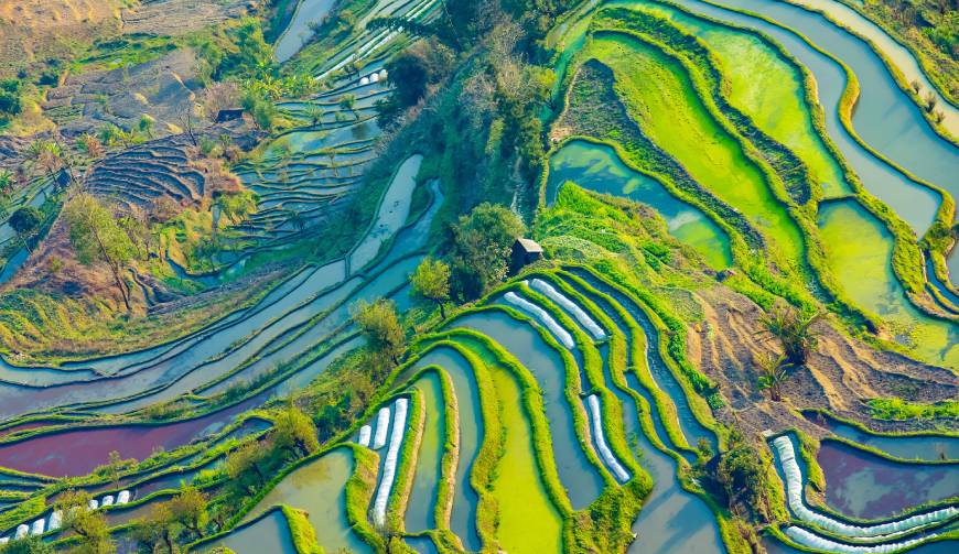 走进思茅区TVC拍摄：解锁本地化场景与创意镜头的完美融合